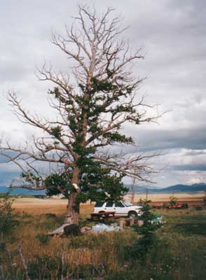 View from the trailer
