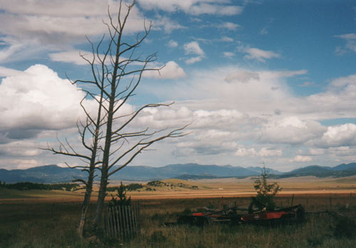 View from the trailer