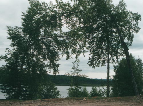 View from the Cabin
