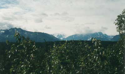 Denali National Park