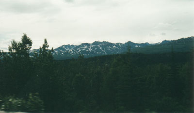 Denali National Park