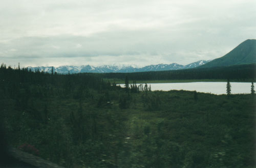 Denali National Park