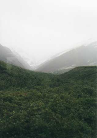 Denali National Park