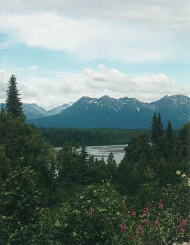 Denali National Park