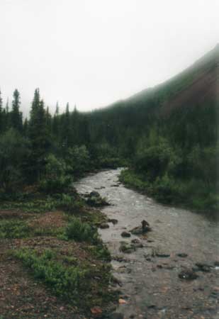 Denali National Park