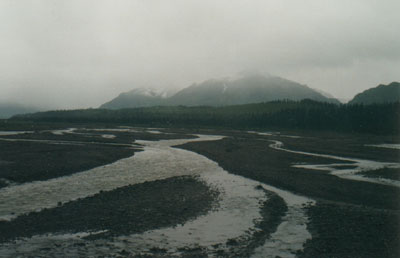 Denali National Park
