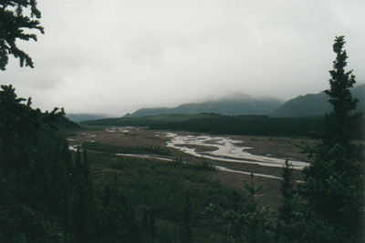 Denali National Park