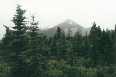 Denali National Park