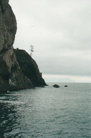 edge of the harbor