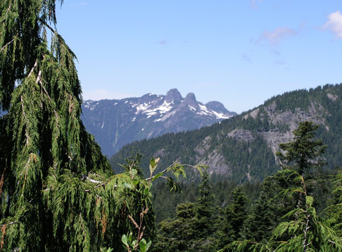 Camel Mountain