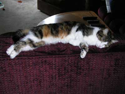 Moving is Tiresome