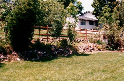 New Fence