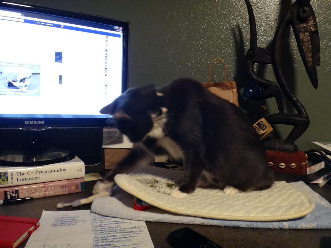 Cirrus and the purr pad