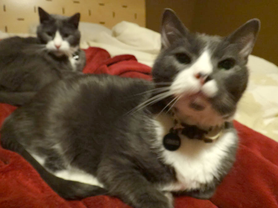Muggins Sanders and Cirrus Sanders
