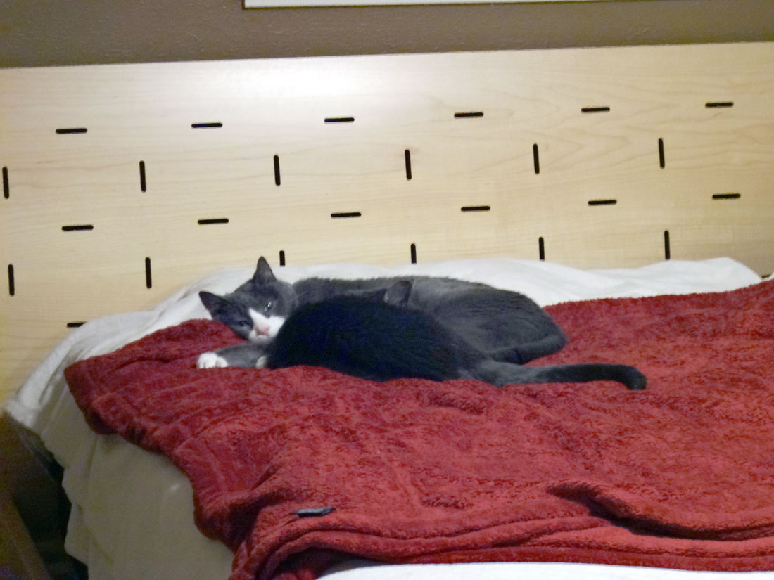 Muggins as Pillow with Cirrus