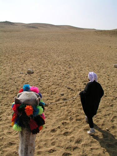 View from the Camel